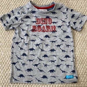 Boys Dinosaur Tee Shirt Sz 5